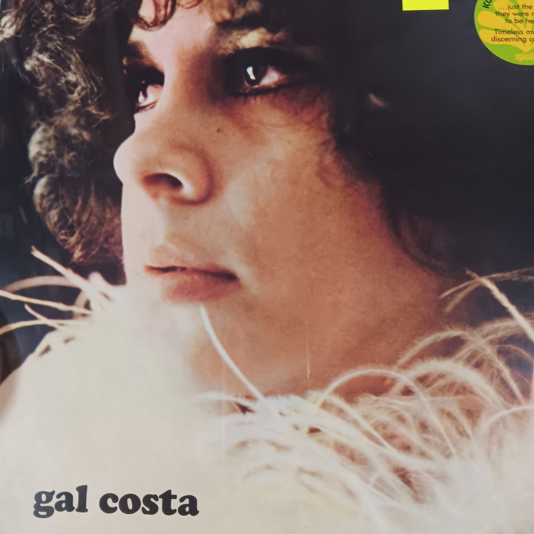 GAL COSTA - SELF TITLED VINYL