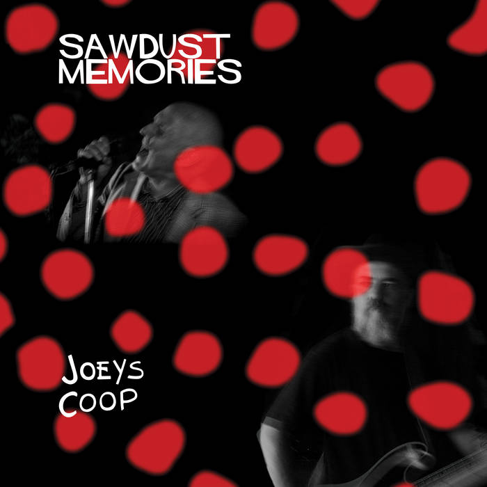JOEYS COOP - SAWDUST MEMORIES VINYL