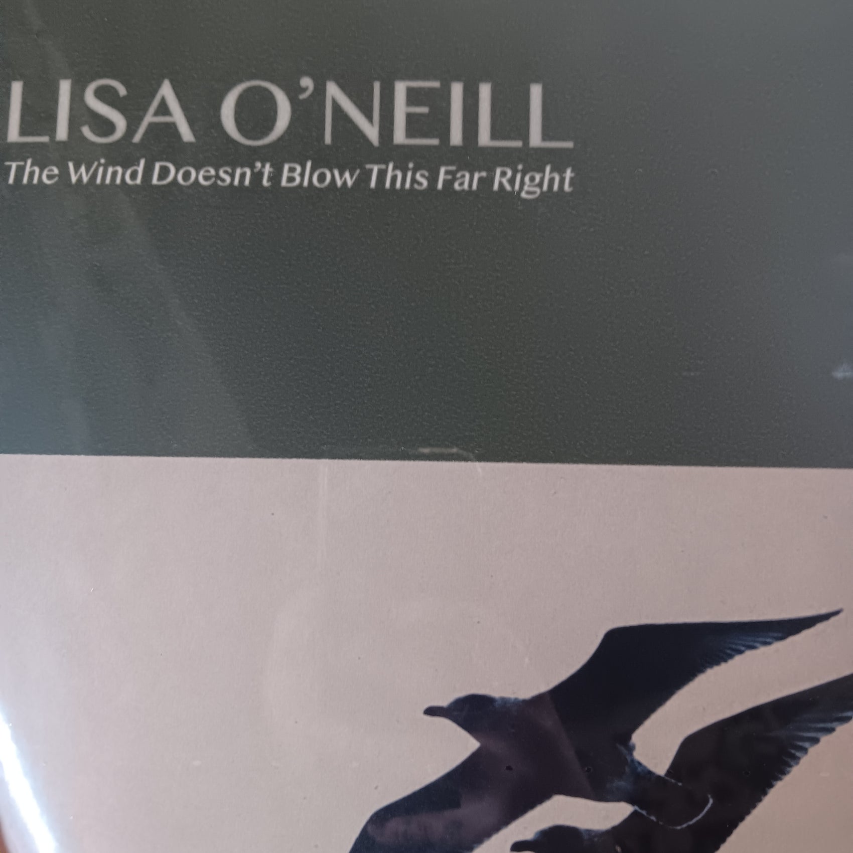 LISA O'NEILL - THE WIND DOESNT BLOW THIS FAR RIGHT (EP) VINYL