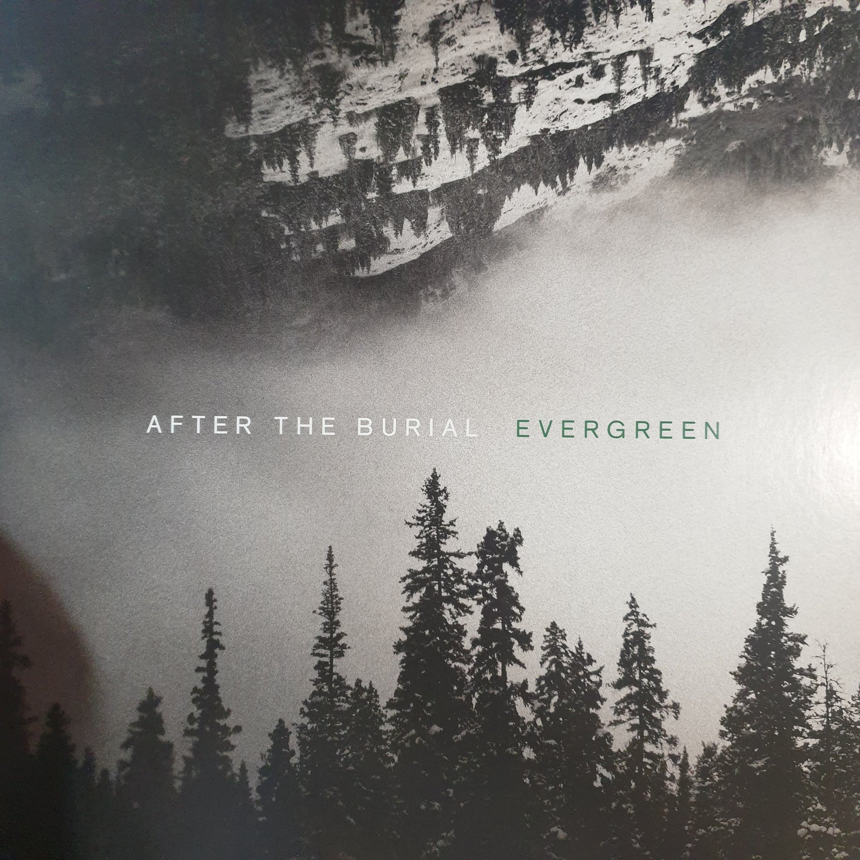 AFTER THE BURIAL - EVERGREEN (GRREN COLOURED) (USED VINYL 2019 US M-/M-)