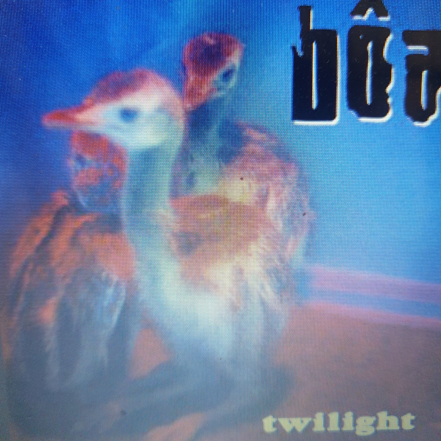 BOA - TWILIGHT VINYL