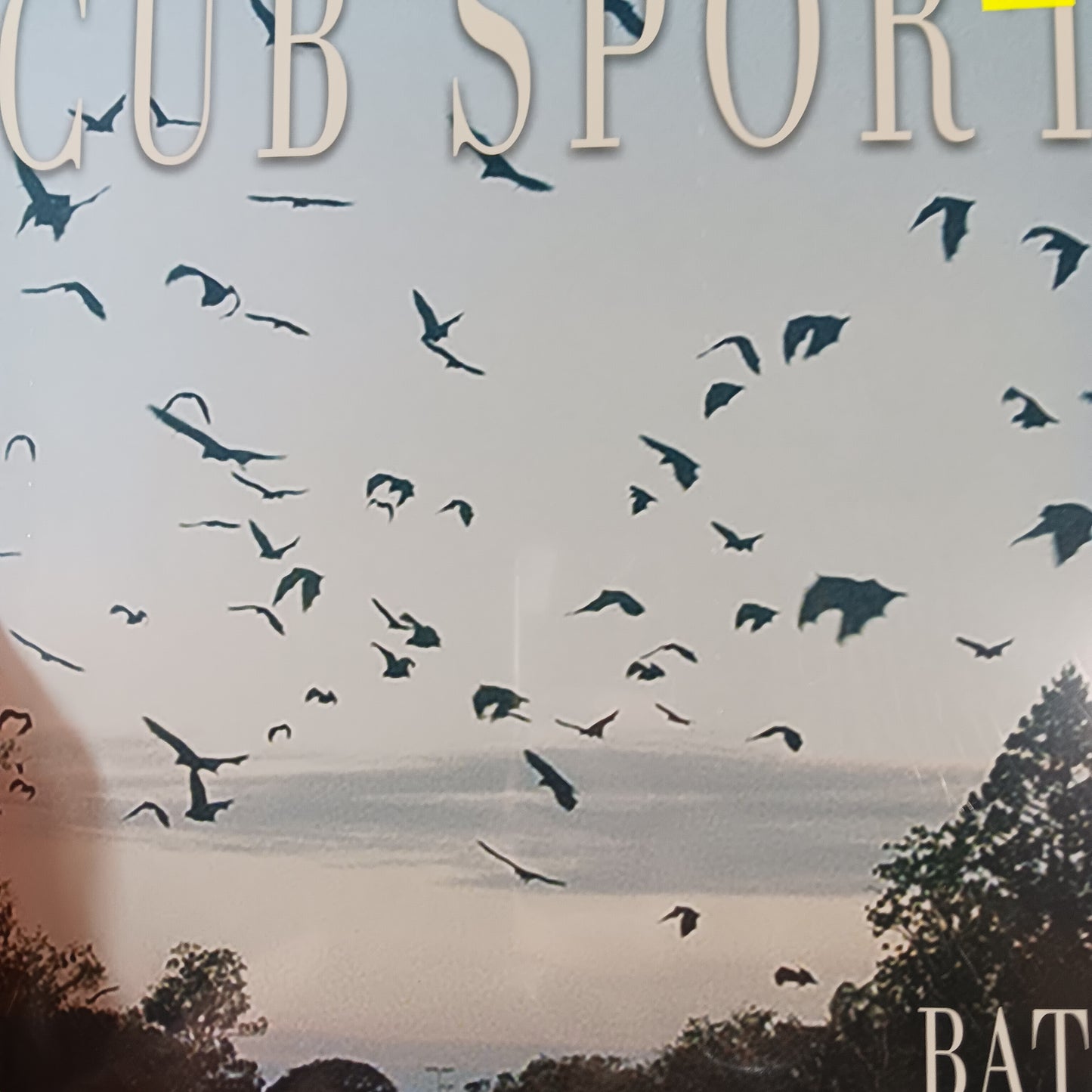 CUB SPORT -BATS (+ 7") VINYL
