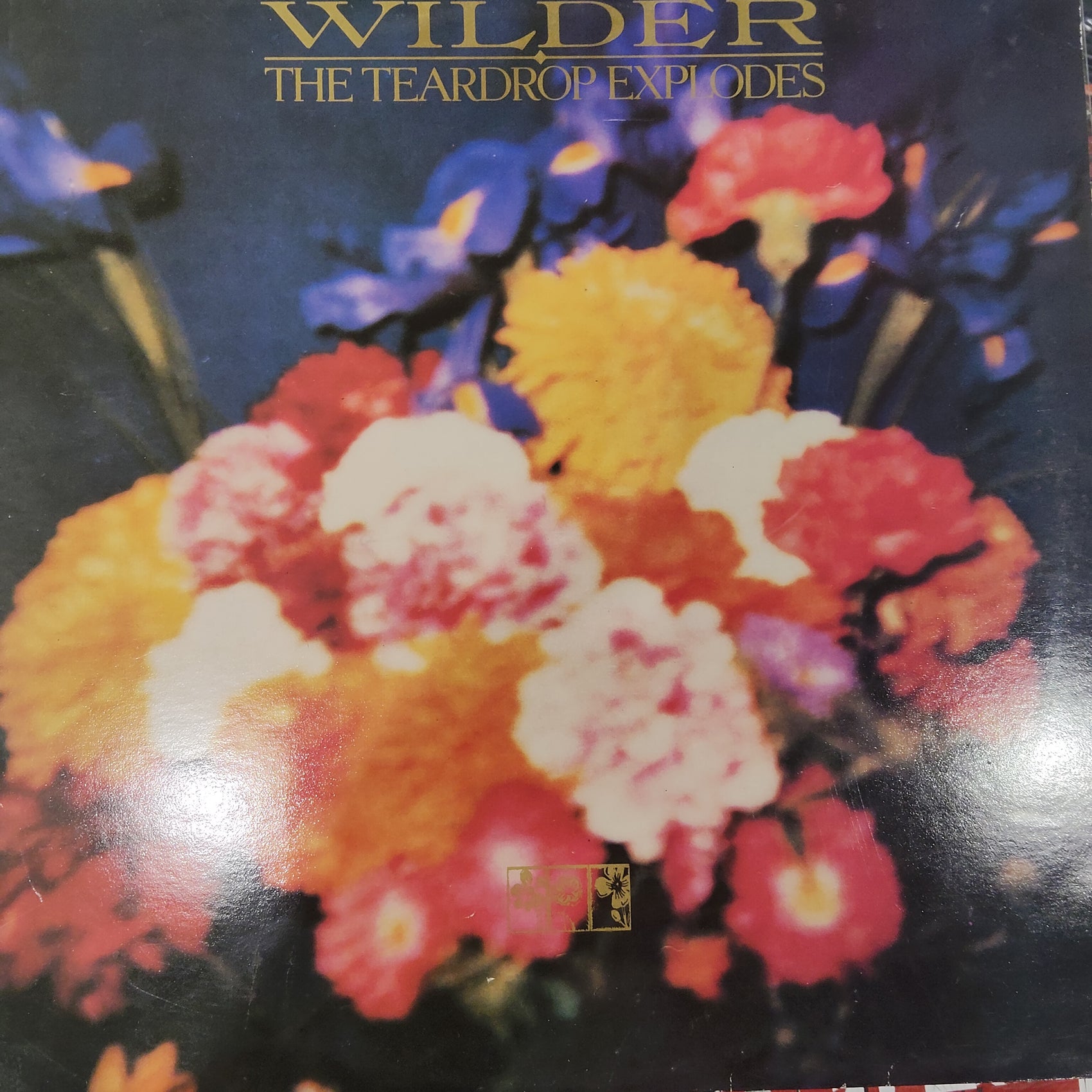 TEARDROP EXPLODES - WILDER (USED VINYL 1981 U.K. EX+ EX+)