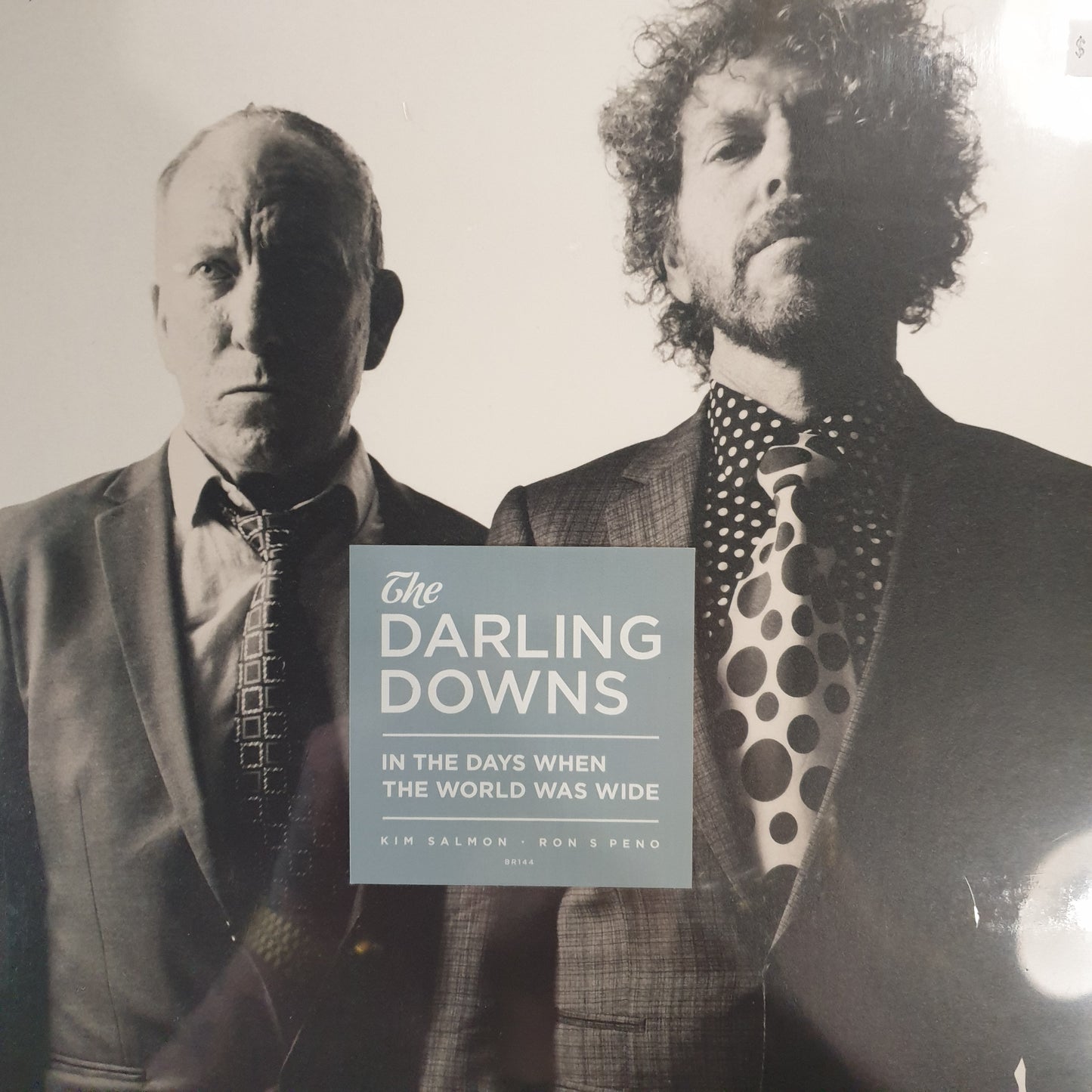 DARLING DOWNS - IN THE DAYS WHEN THE WORLD WAS WIDE VINYL