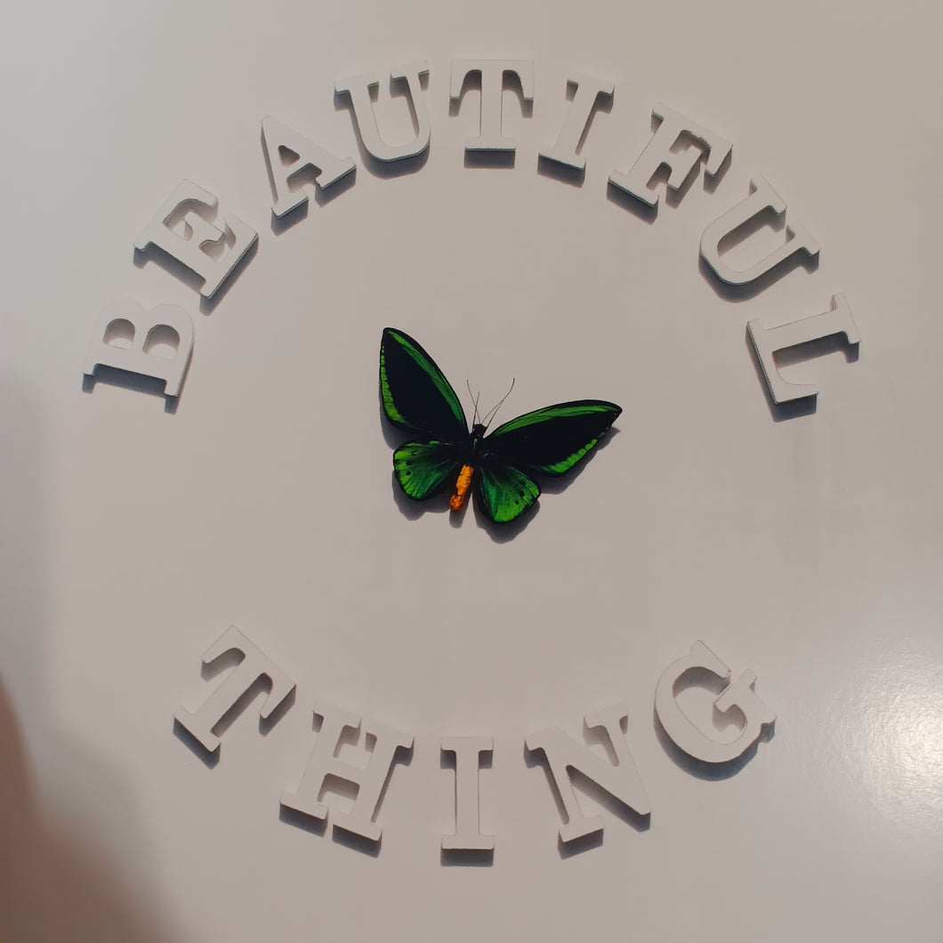 STONE ROSE - BEAUTIFUL THING (12