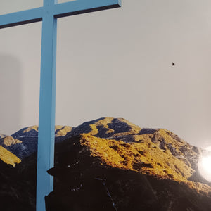 JPEGMAFIA - LAY DOWN MY LIFE FOR YOU (DIRECTORS CUT) (2LP) VINYL