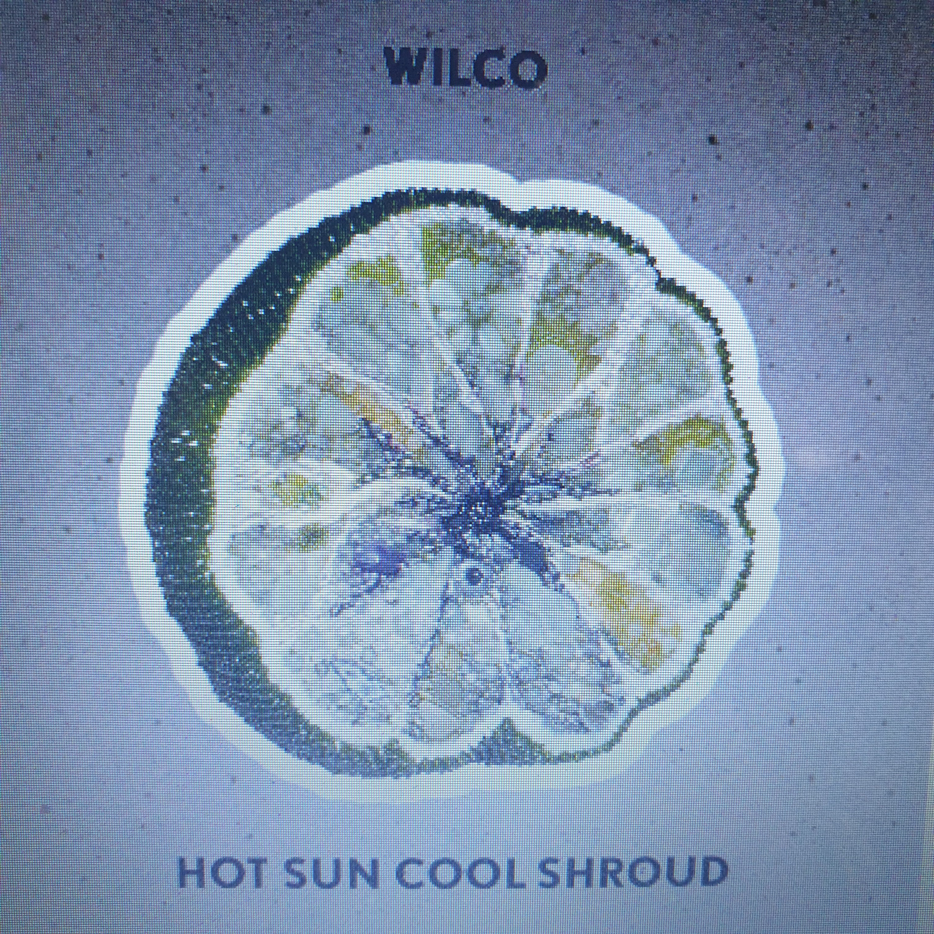 新品未開封　WILCO HOT SUN COOL SHROUD 限定盤 レコード Wilco Announce New Hot Sun Cool Shroud EP | Pitchfork