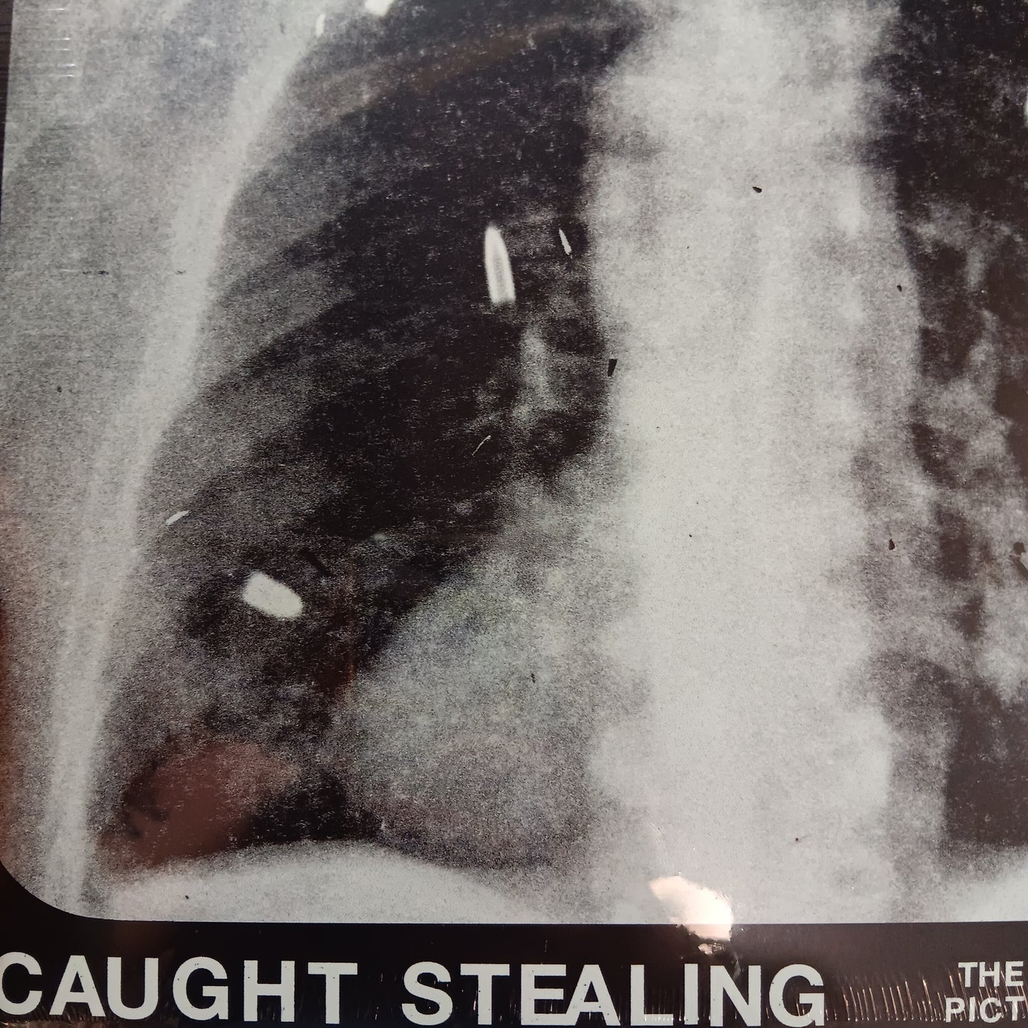 IDLES - CAUGHT STEALING OST VINYL