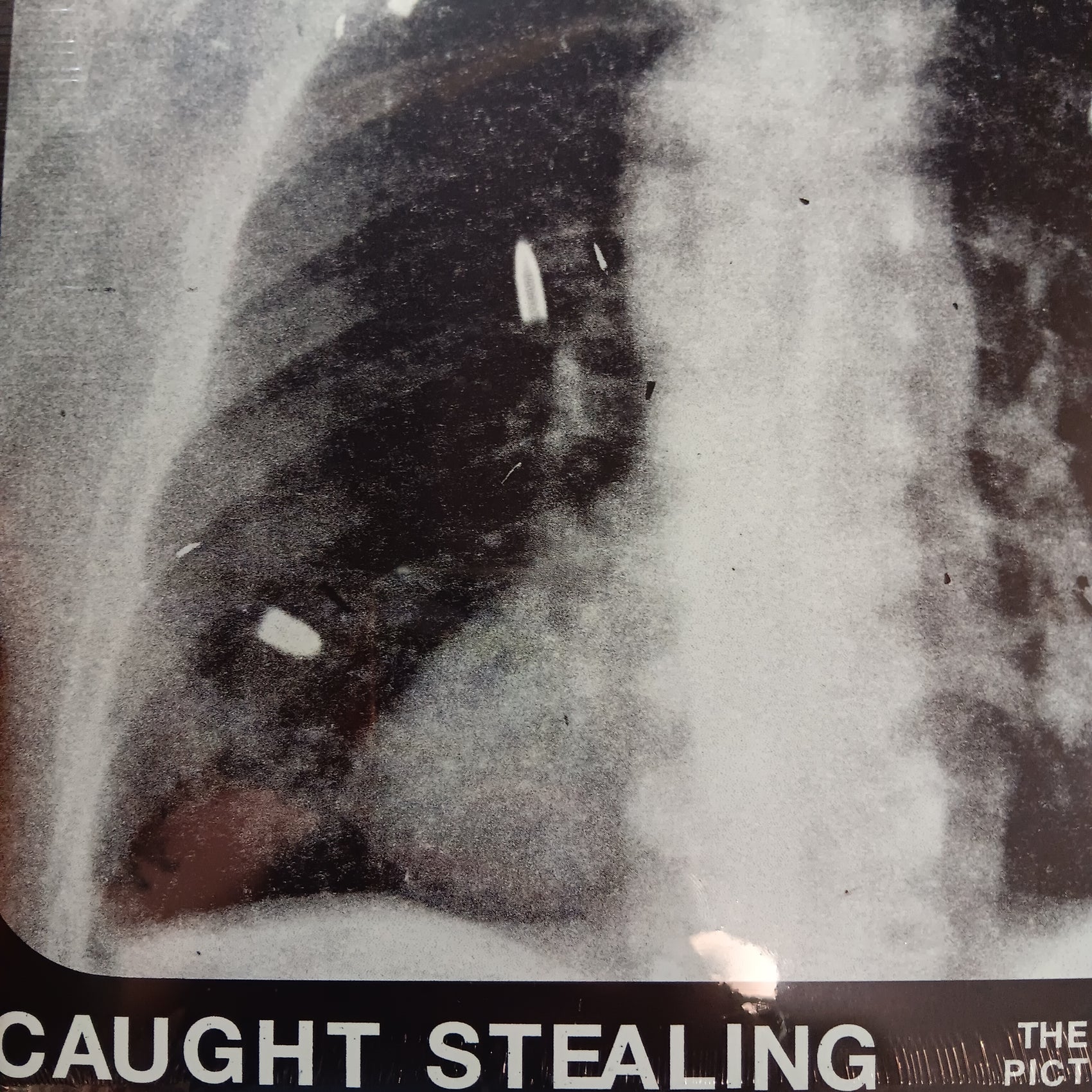 IDLES - CAUGHT STEALING OST VINYL