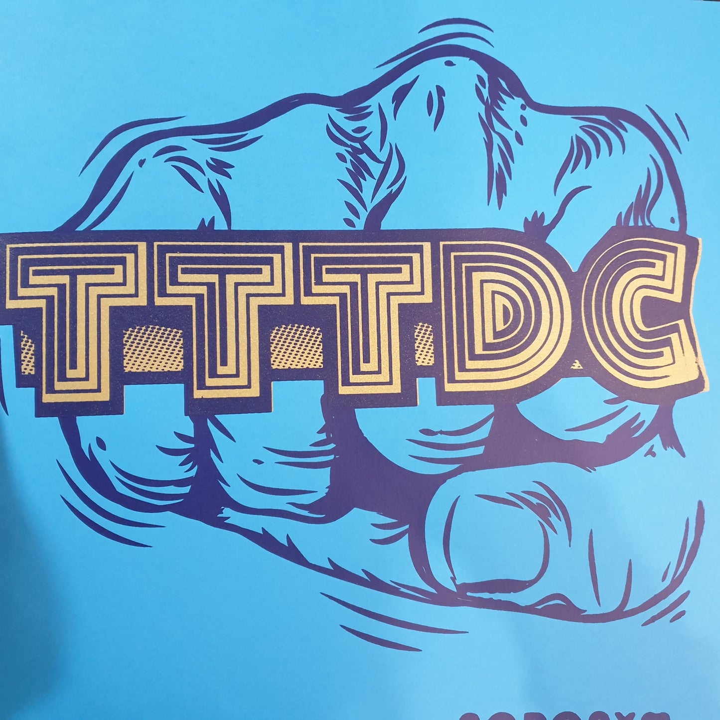 TTTDC - ACRONYN (USED VINYL 2015 AUS M-/M-)