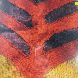 YEAH YEAH YEAHS - SHOW YOUR BONES VINYL