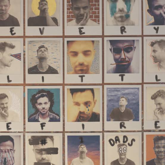 #1 DADS - EVERY LITTLE FIRE (BURNT ORANGE COLOURED) VINYL
