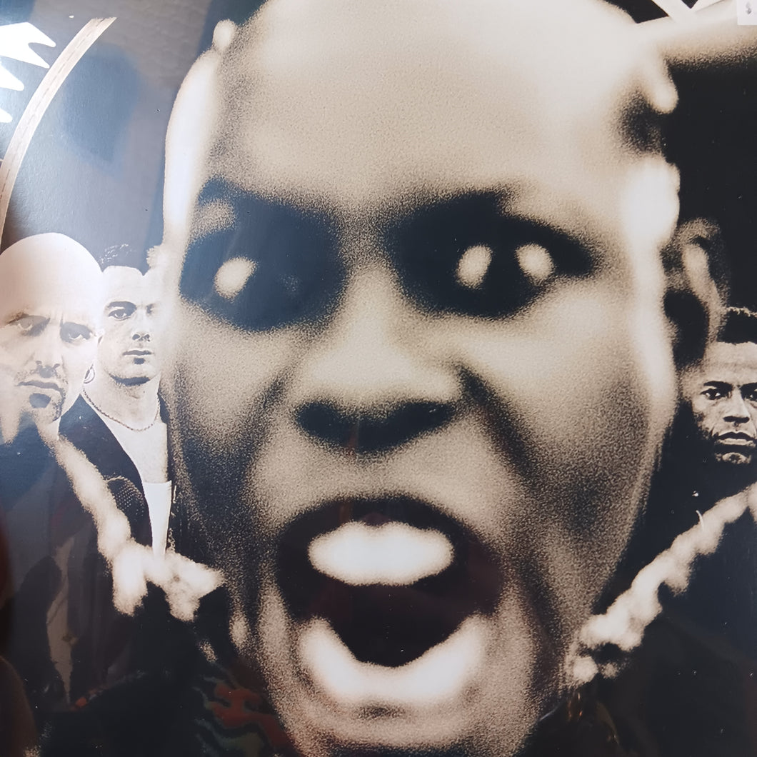 SKUNK ANANSIE - STOOSH VINYL