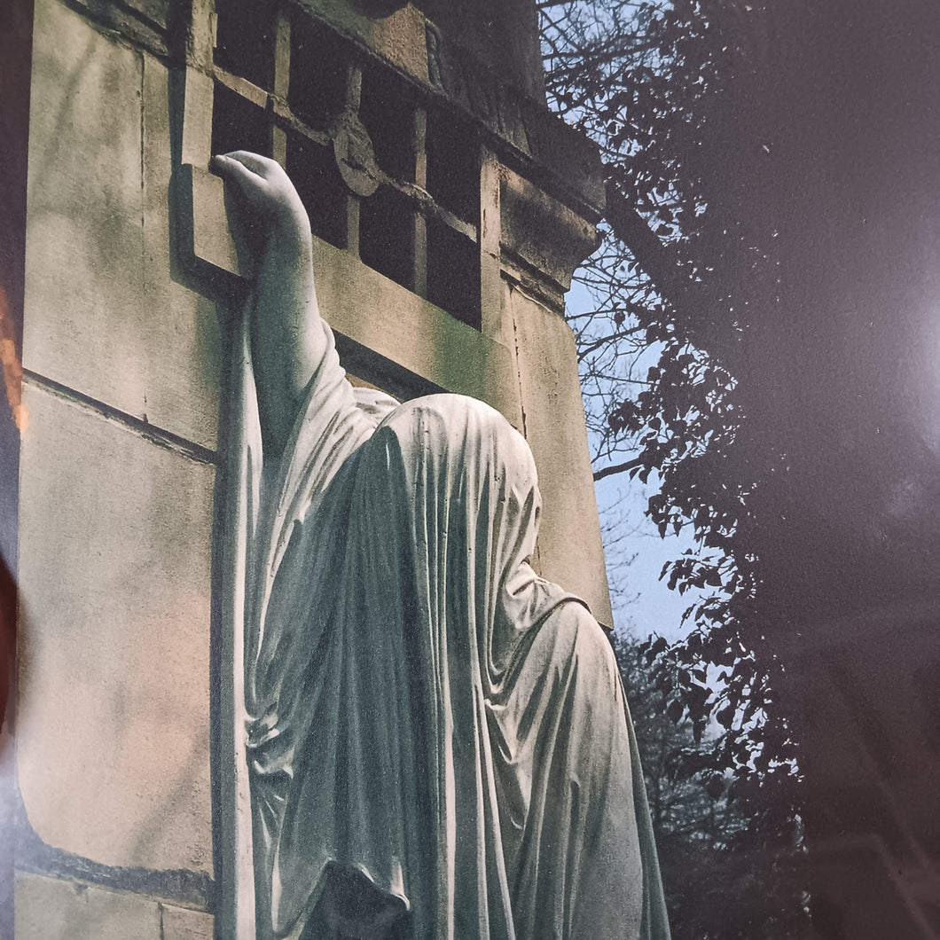 DEAD CAN DANCE - WITHIN THE REALM OF A DYING SUN VINYL