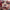 LOLA YOUNG - THIS WASNT MEANT FOR YOU (RED COLOURED) VINYL