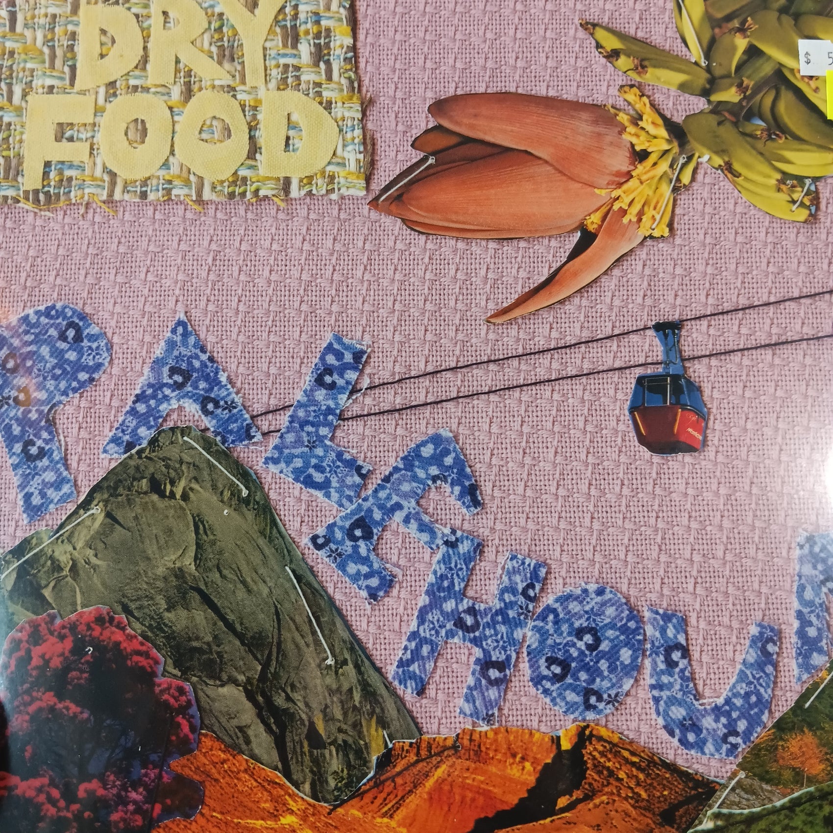 PALEHOUND - DRY FOOD VINYL