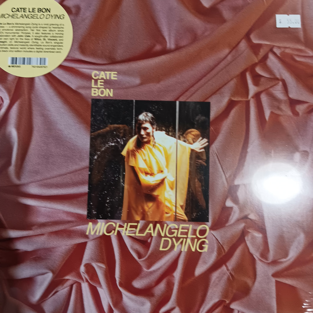 CATE LE BON - MICHELANGELO DYING VINYL