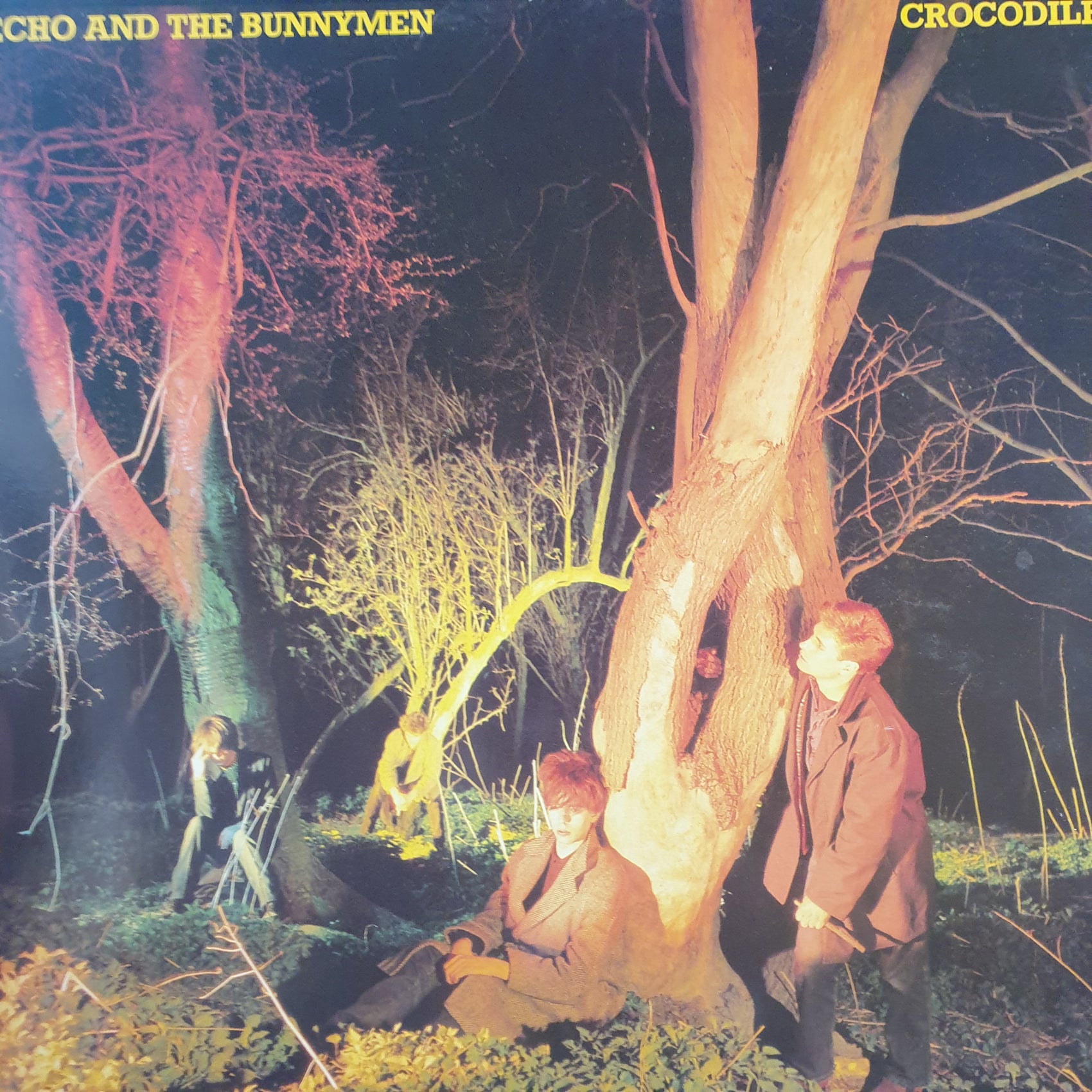 ECHO AND THE BUNNYMEN - CROCODILES (USED VINYL 1980 GERMAN EX/EX+)
