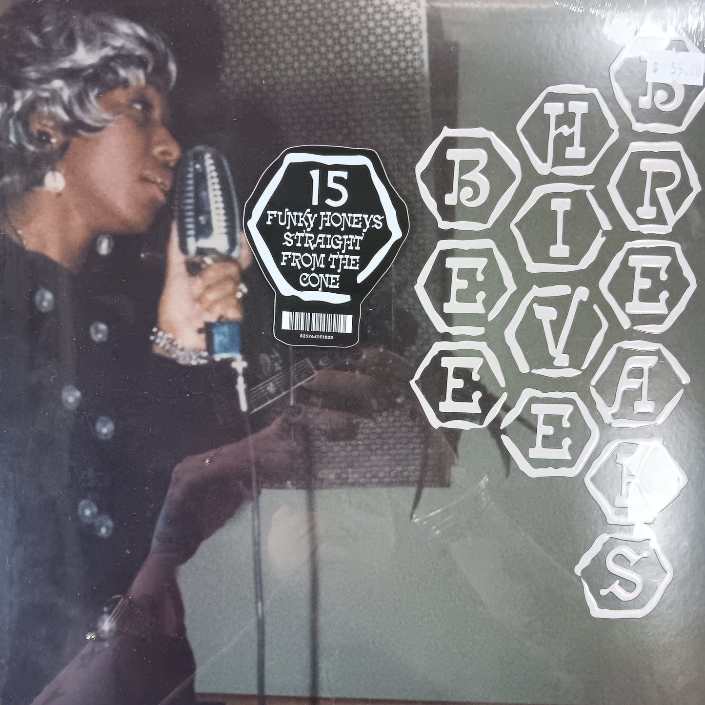 VARIOUS ARTISTS - BEEHIVE BREAKS VINYL