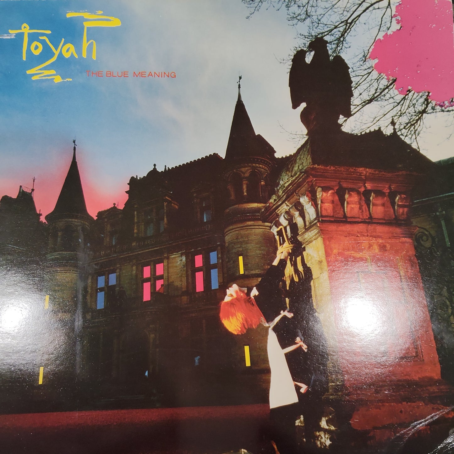 TOYAH - THE BLUE MEANING (USED VINYL 1980 U.K. M- EX)