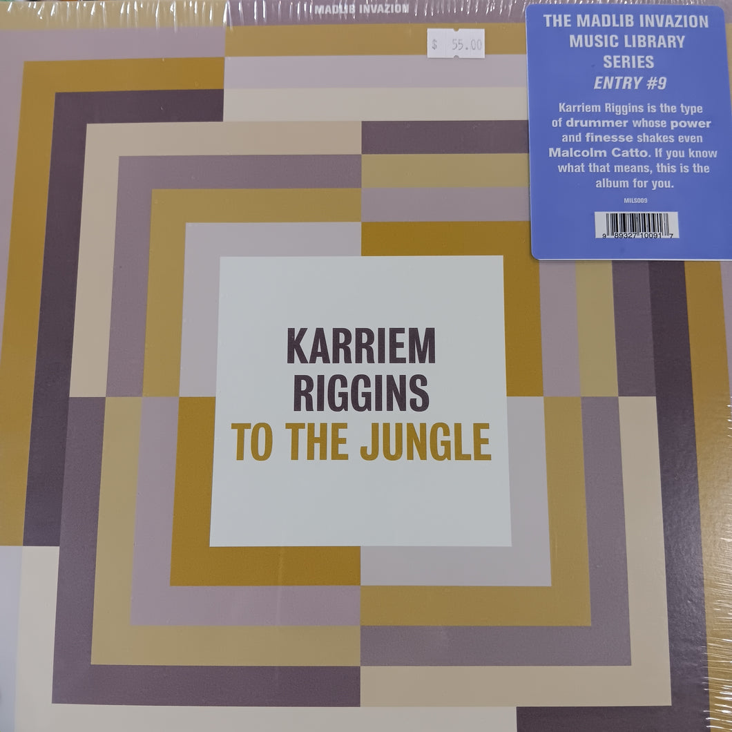 MADLIB AND KARRIEM RIGGINS - MUSIC LIBRARY SERIES ENTRY #9 VINYL ...