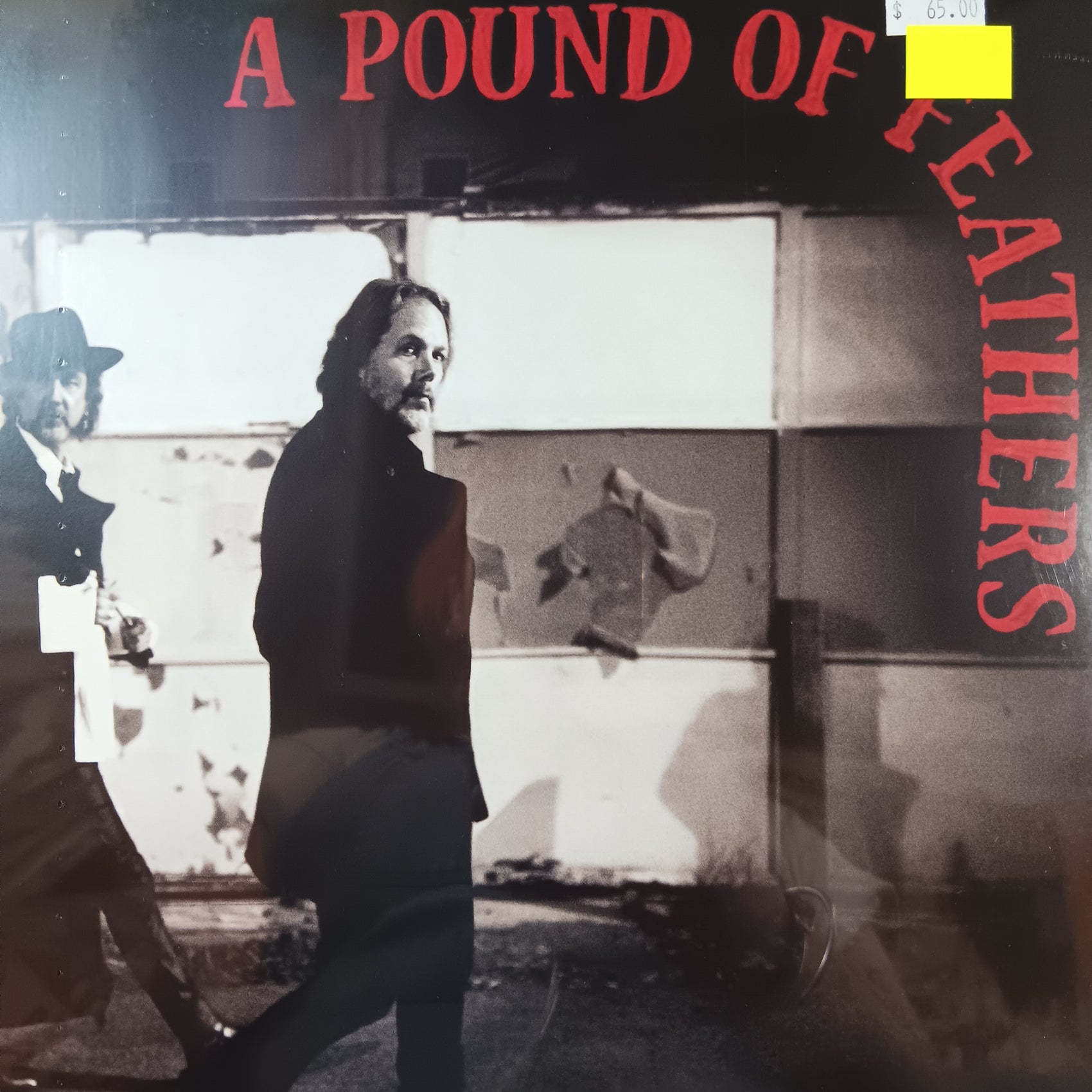 BLACK CROWES - A POUND OF FEATHERS VINYL