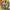 LEE SCRATCH PERRY - HEART OF THE DRAGON (YELLOW COLOURED) VINYL