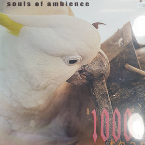 SOULS OF AMBIENCE - A 1000 TEARS VINYL