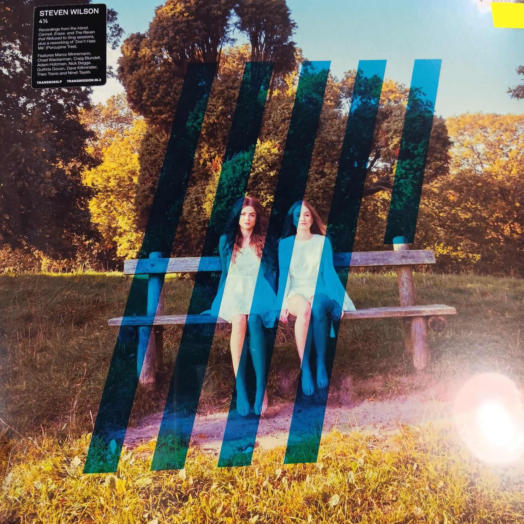 STEVEN WILSON - 4 1/2 (2LP) VINYL