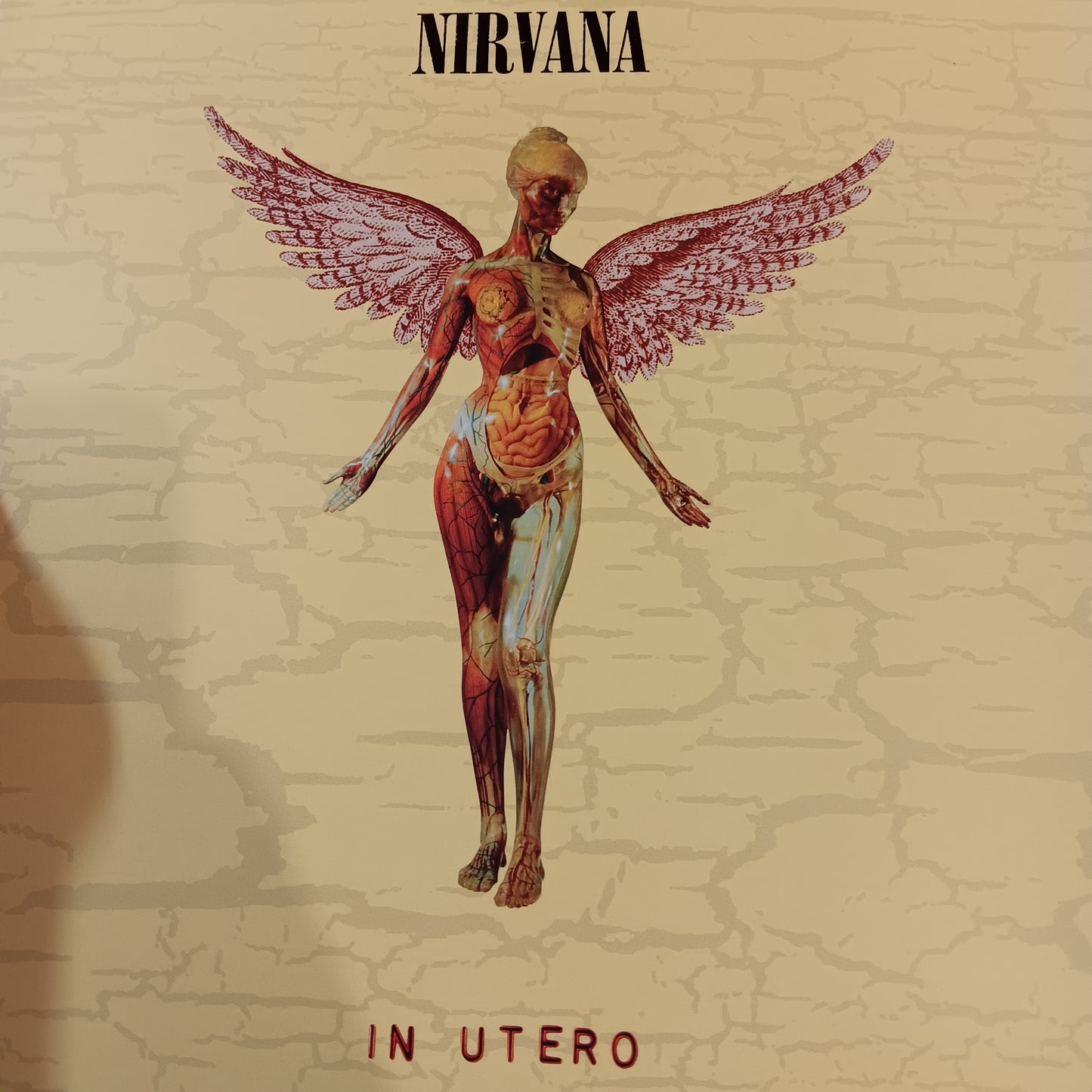 NIRVANA - IN UTERO (2LP+10") (USED VINYL 2023 WORLDWIDE M-/M-)
