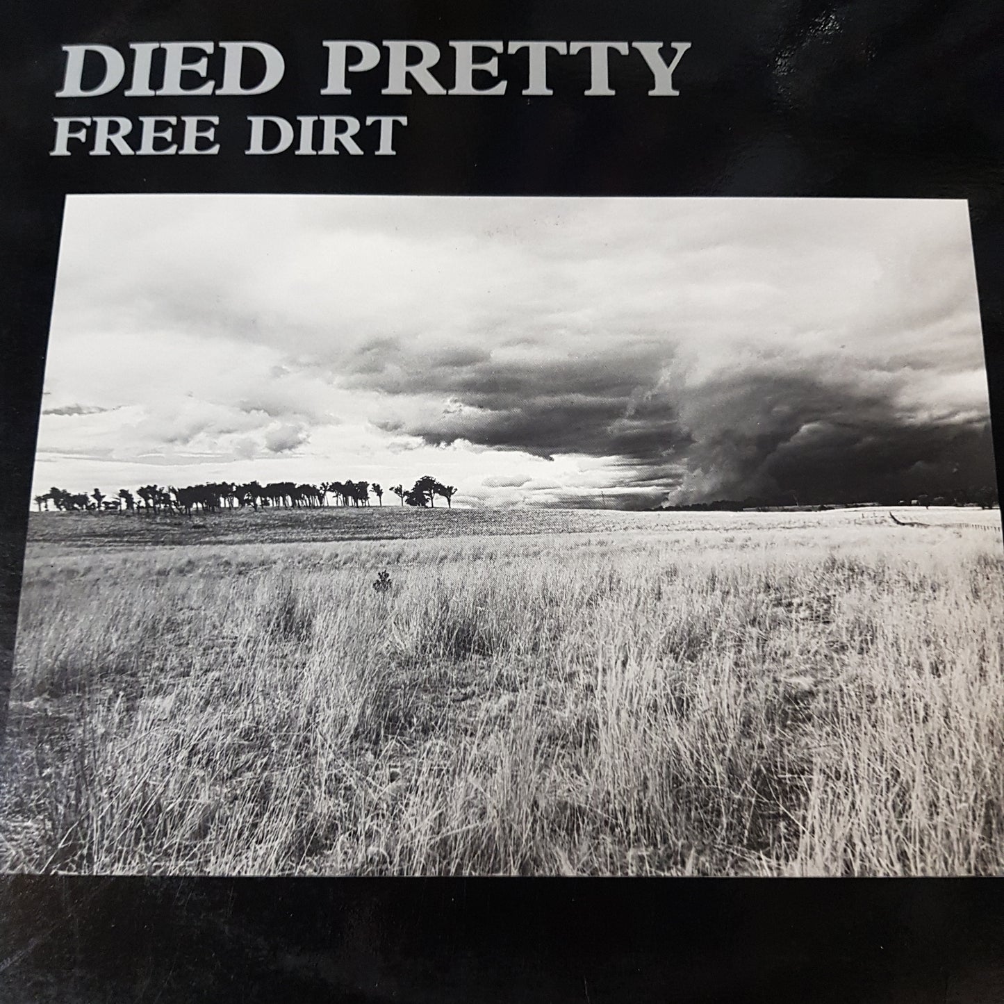 DIED PRETTY - FREE DIRT VINYL