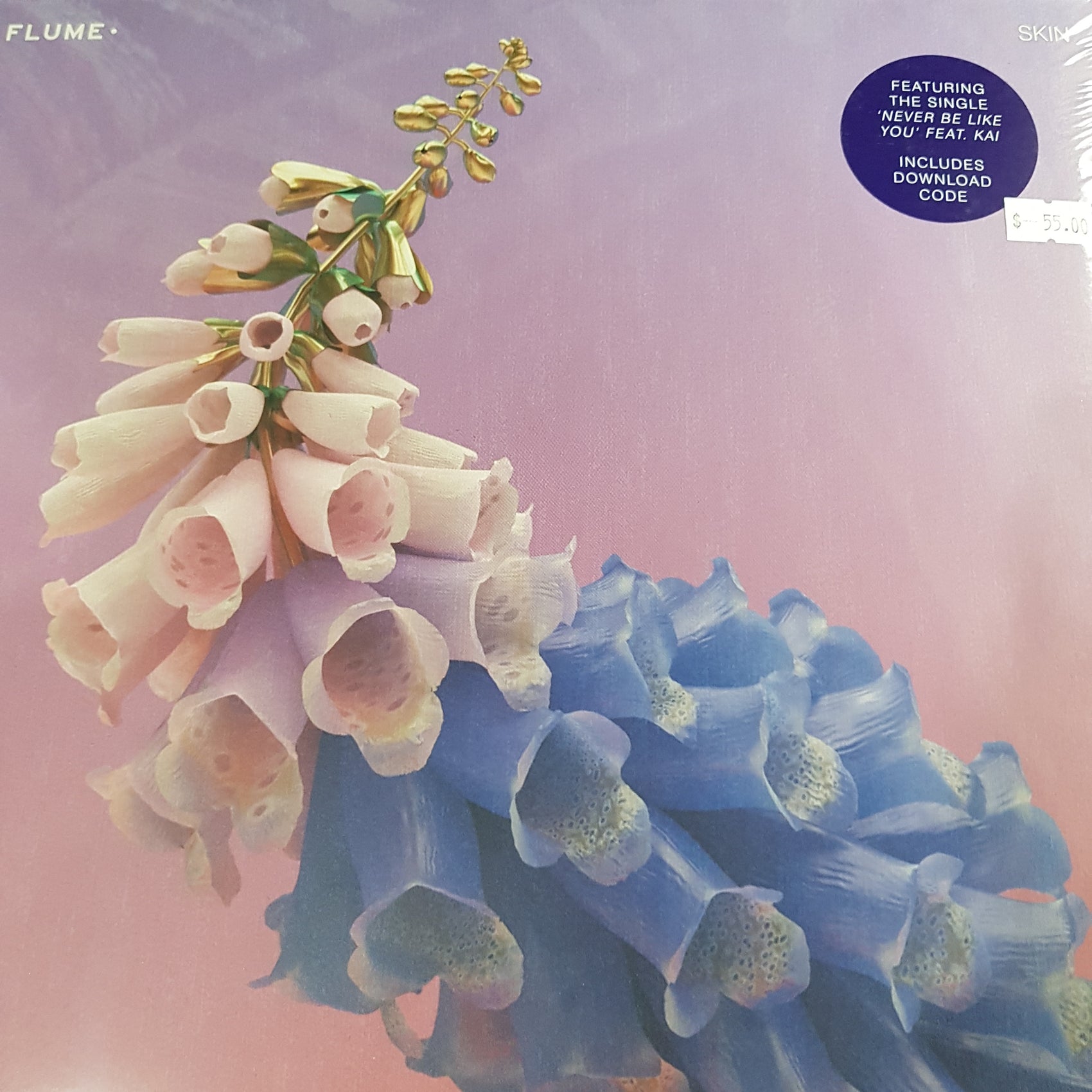 FLUME - SKIN (2LP) VINYL