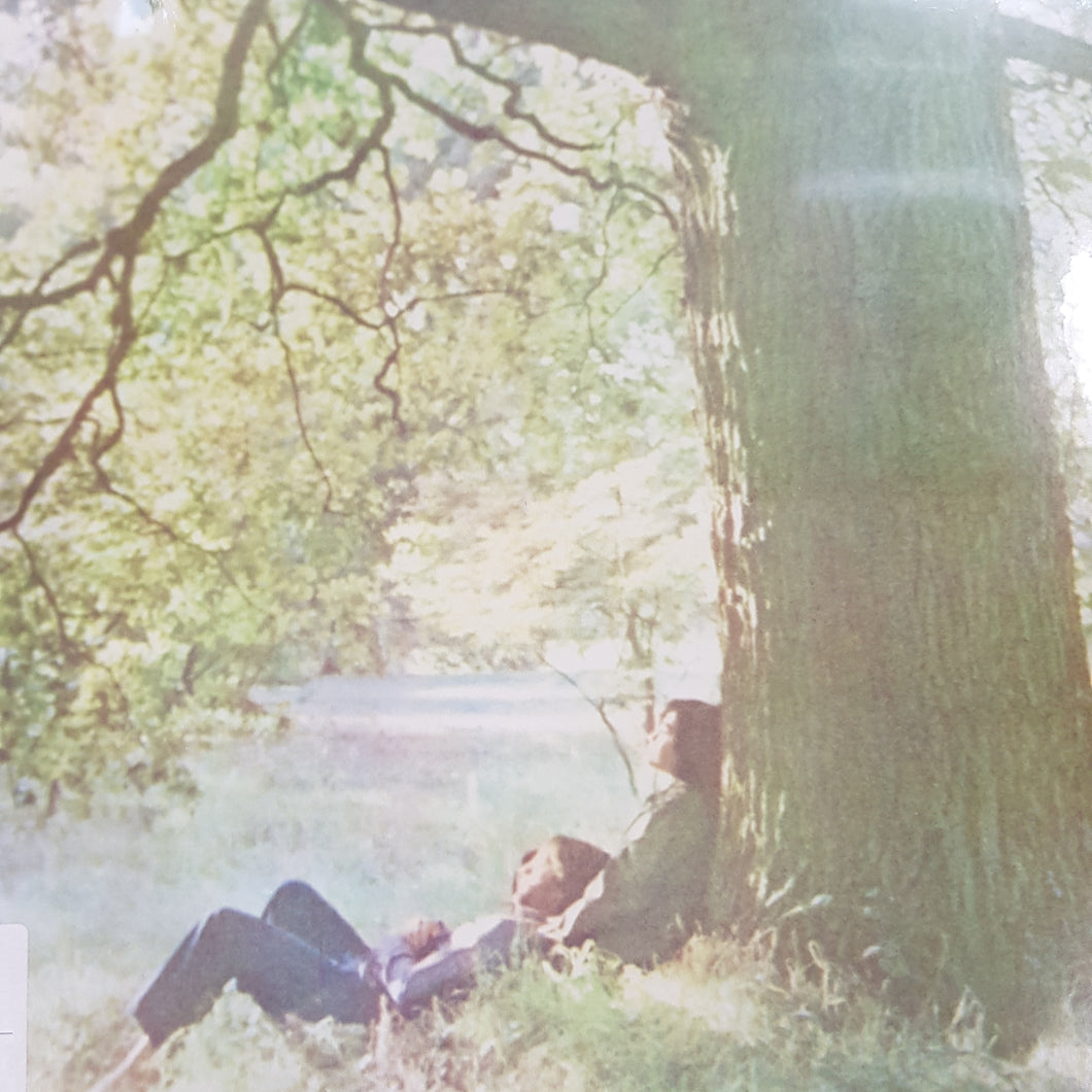 JOHN LENNON - PLASTIC ONO BAND VINYL