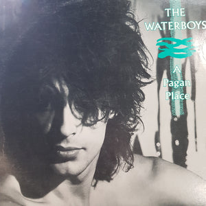 WATERBOYS - A PAGAN PLACE (USED VINYL 1984 CANADIAN EX+/EX+)