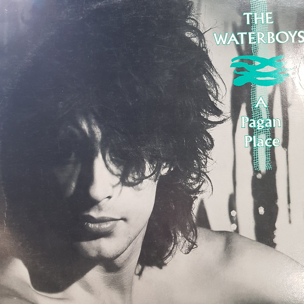 WATERBOYS - A PAGAN PLACE (USED VINYL 1984 CANADIAN EX+/EX+)