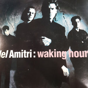 DEL AMITRI - WAKING HOURS (USED VINYL 1989 AUS M-/EX)
