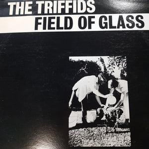 TRIFFIDS - FIELD OF GLASS (EP) (USED VINYL 1985 AUS M-/EX+)