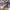 SAND PEBBLES - PLEASURE MAPS VINYL