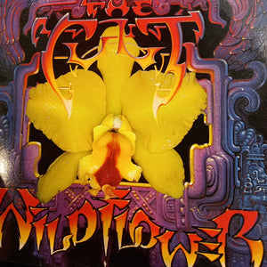 CULT - WILD FLOWER (12") (USED VINYL 1987 UK M-/EX)