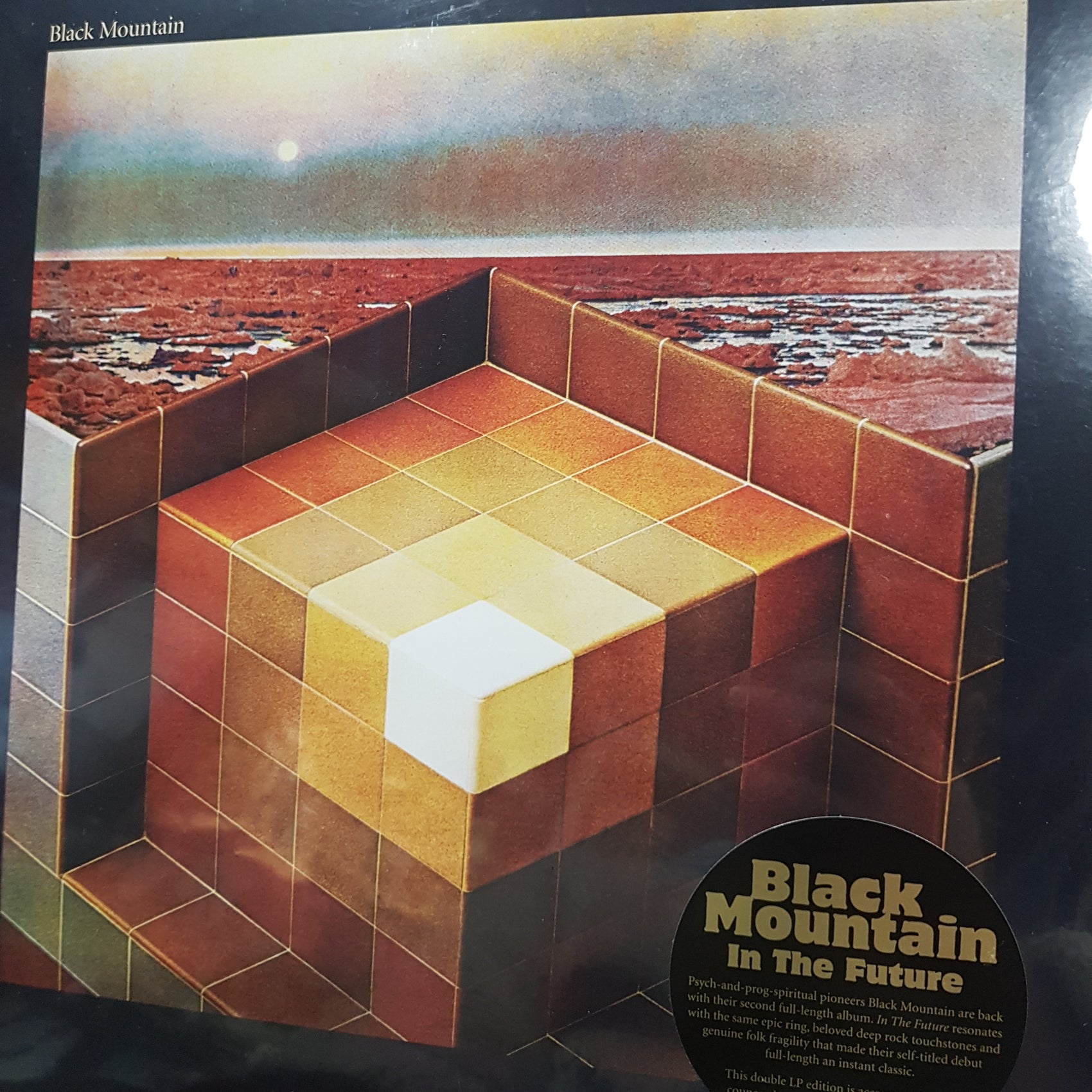 BLACK MOUNTAIN - IN THE FUTURE (2LP) VINYL