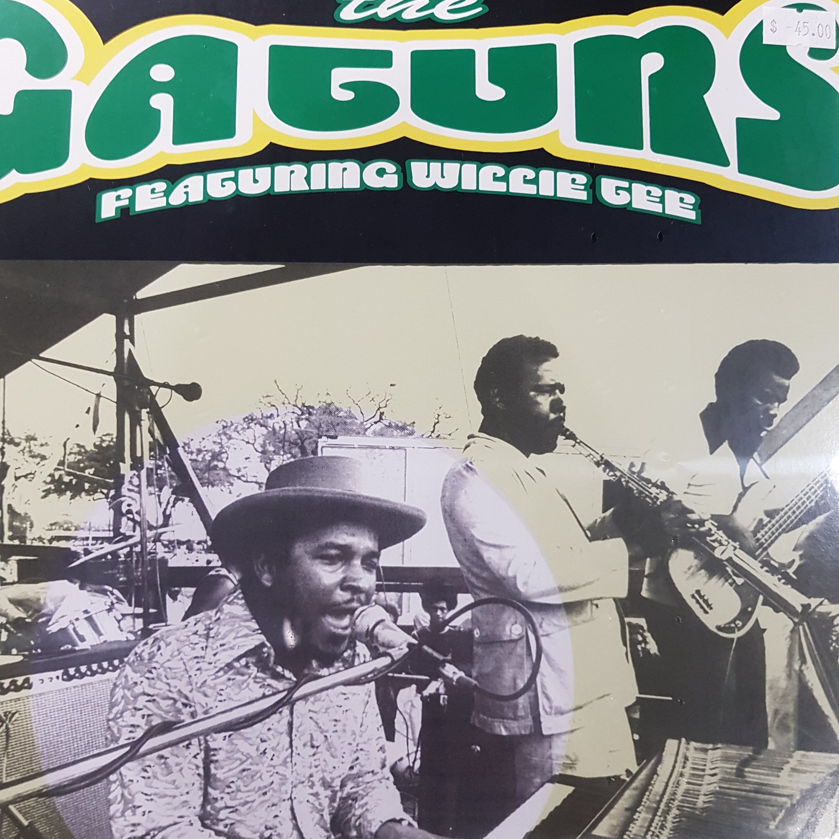 GATORS - WASTED VINYL