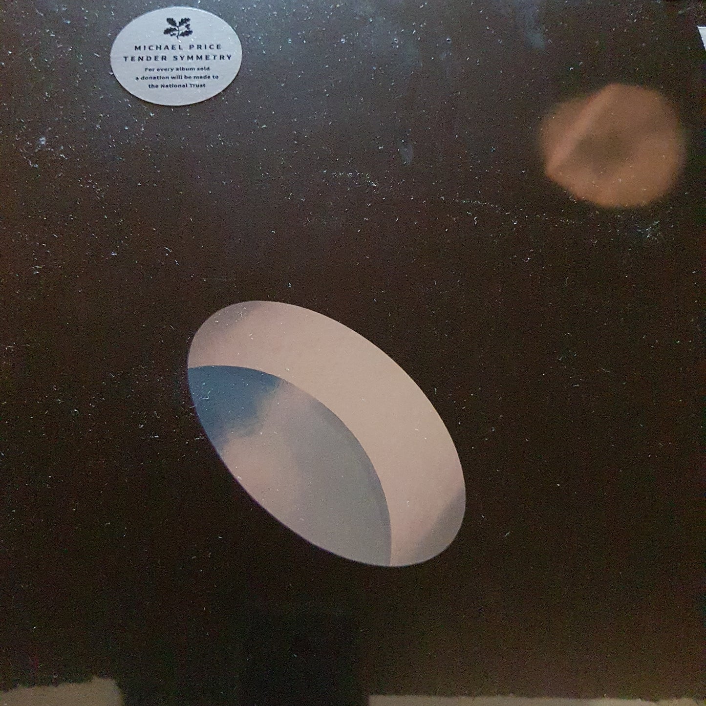 MICHAEL PRICE - TENDER SYMMETRY (CLEAR COLOURED) VINYL