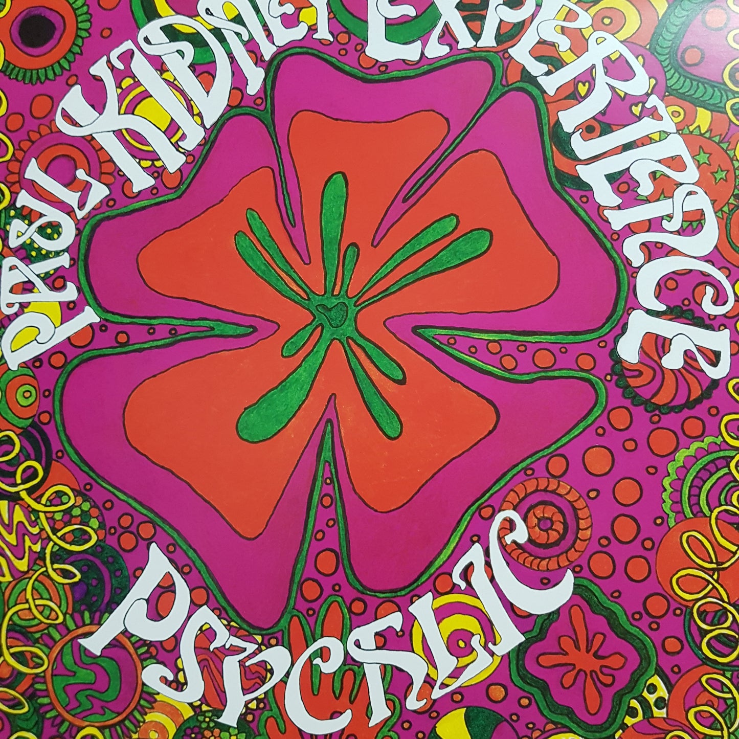 PAUL KIDNEY EXPERIENCE - PSYCHLIC (COLOURED) (2LP) VINYL