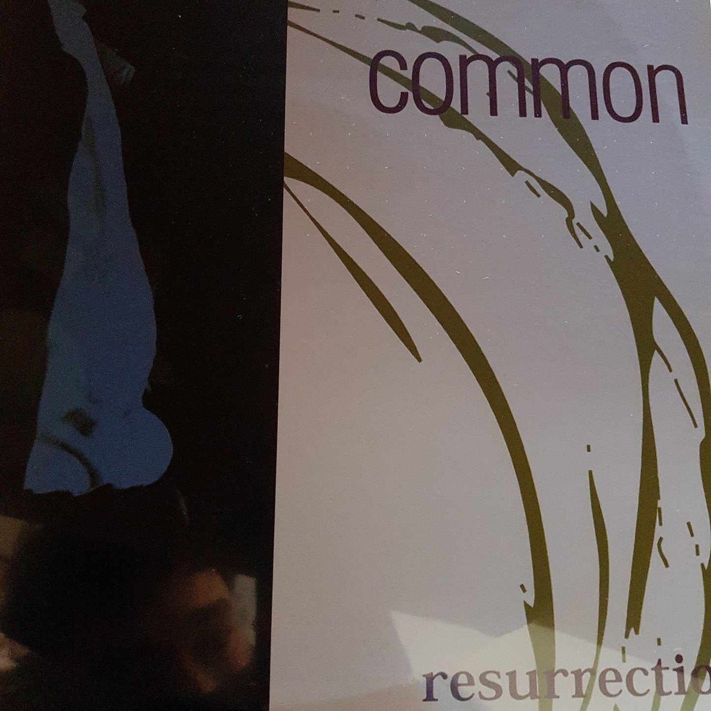 COMMON - RESURRECTION VINYL