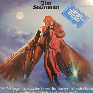 JIM STEINMAN - BAD FOR GOOD (+7") (USED VINYL 1981 US M-/M-)