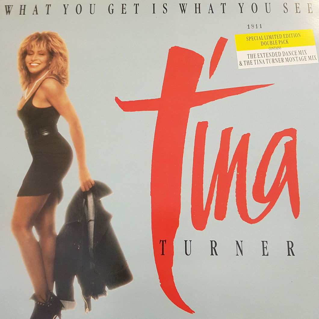TINA TURNER - WHAT YOU GET IS WHAT YOU SEE (2x12