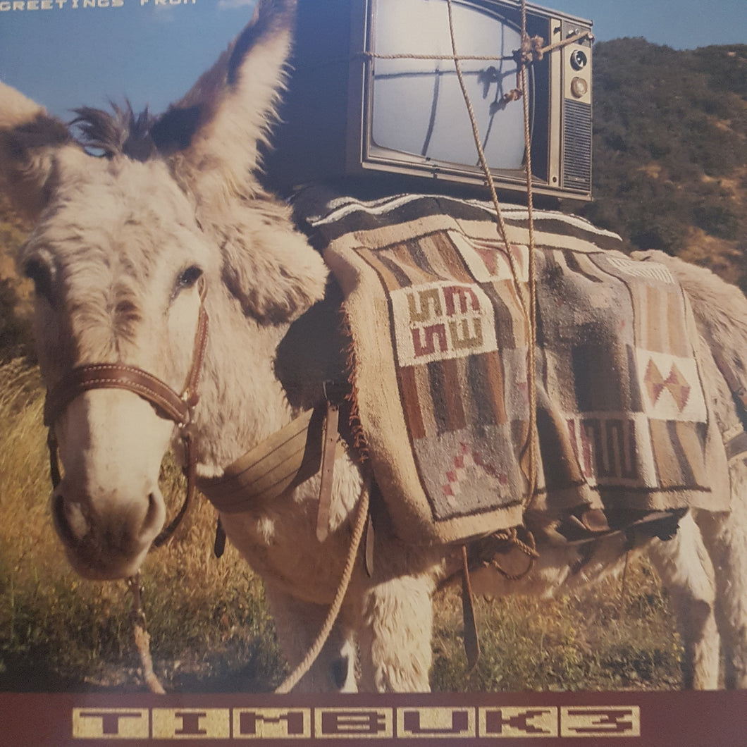 TIMBUK 3 - GREETINGS FROM (USED VINYL 1986 CANADIAN M-/EX)