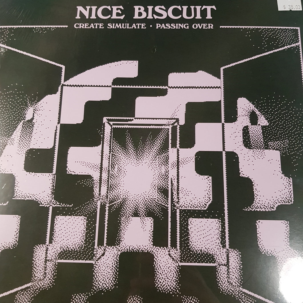 NICE BISCUIT - CREATE SIMULATE/PASSING OVER VINYL