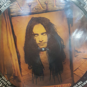 STEVE VAI - DOWN DEEP INTO THE PAIN (12") (PIC DISC) (USED VINYL 1993 UK M-/M-)