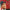 FRANK SINATRA - ULTIMATE CHRISTMAS (2LP) VINYL